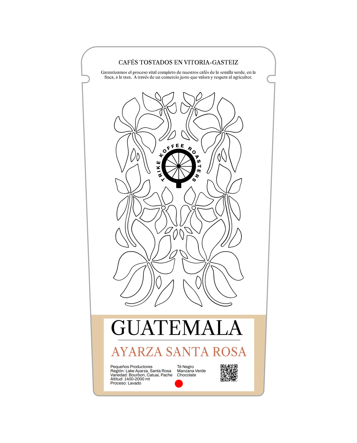 GUATEMALA AYARZA SANTA ROSA