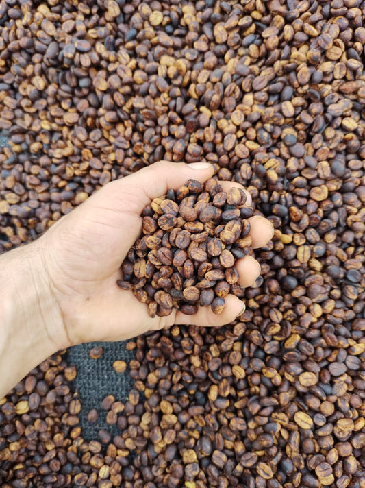 COSTA RICA CHIRRIPÓ