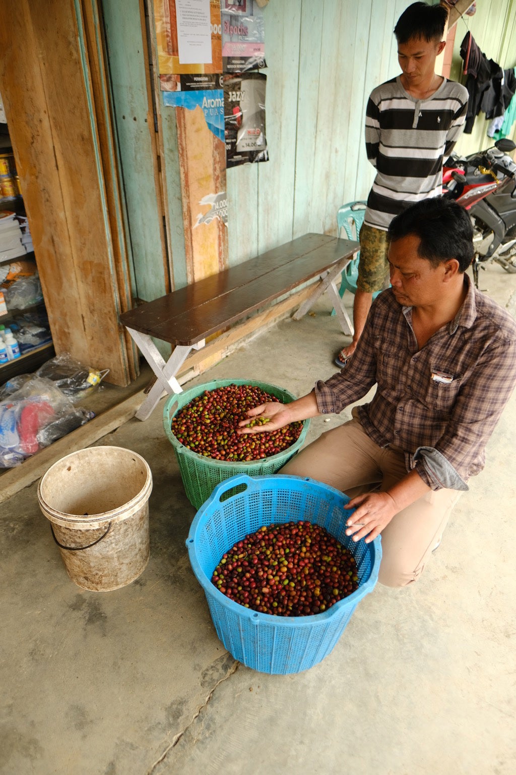INDONESIA ASMAN ARIANTO - NATURAL SUMATRA