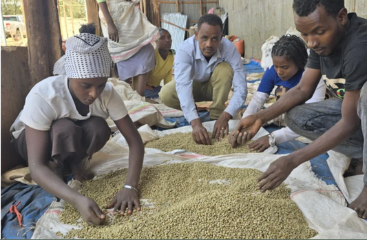 ETIOPIA LEGESSE MATISSO