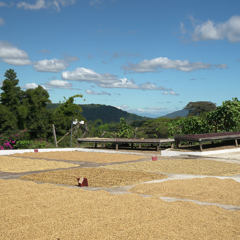 EL SALVADOR SAN JOSE
