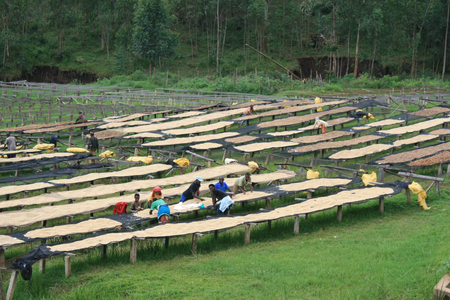 BURUNDI KIBINGO