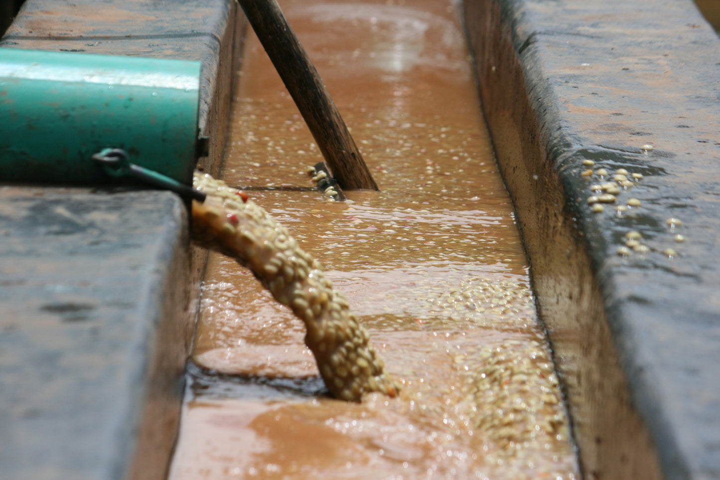BURUNDI KIBINGO