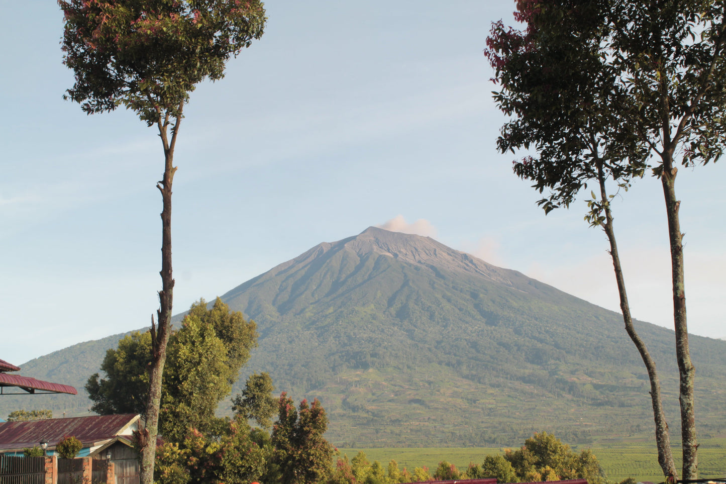 INDONESIA KERINCI