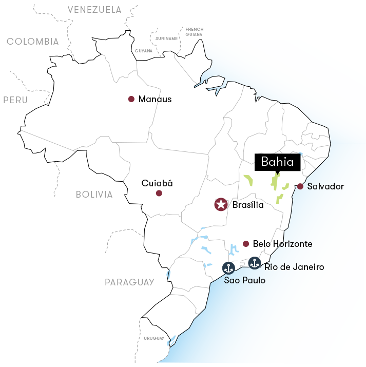 BRASIL TUCÁN