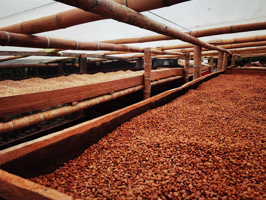 FINCA EL DIVISO CHIROSO