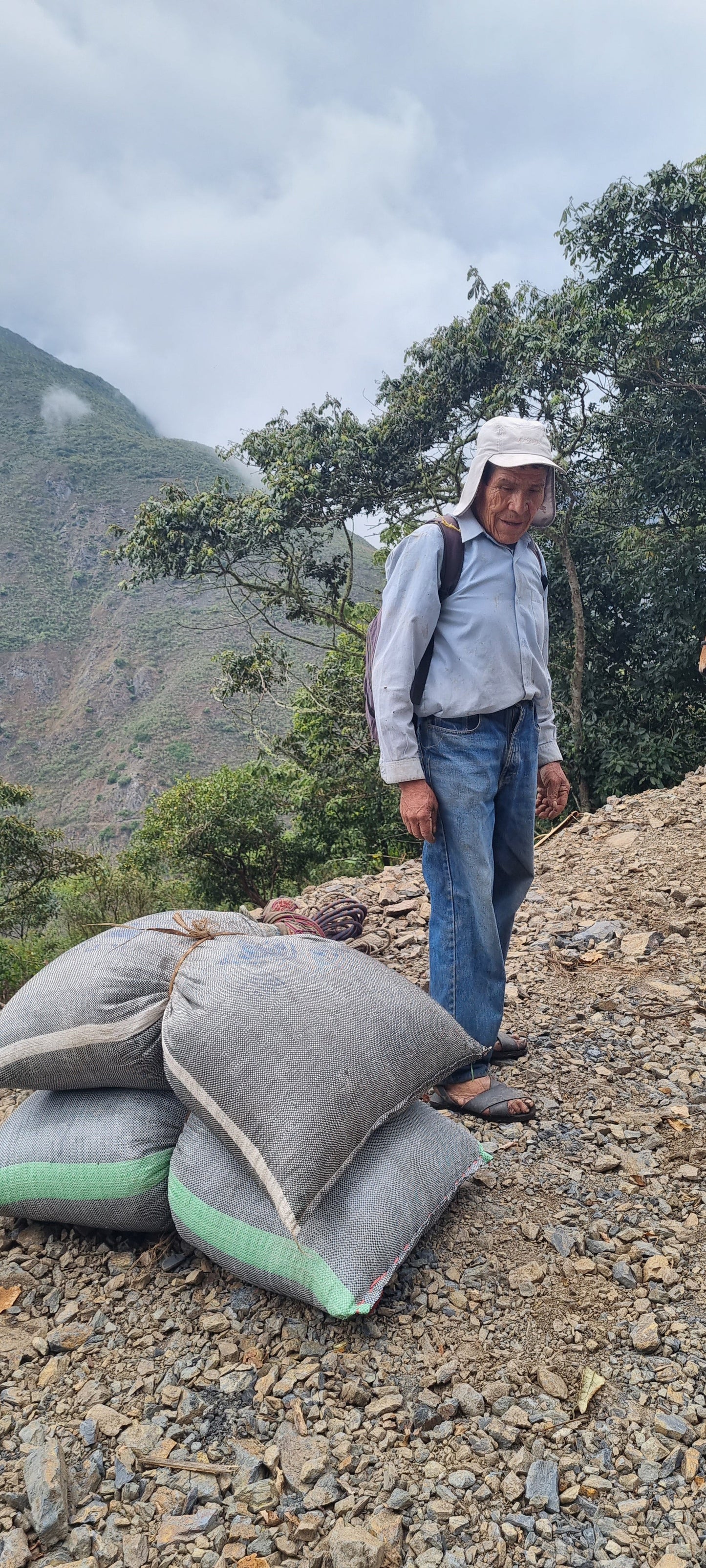 PERU ARIZACA BOURBON