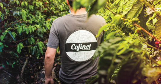 COFINET Colombia Casa Negra de Trato Directo
