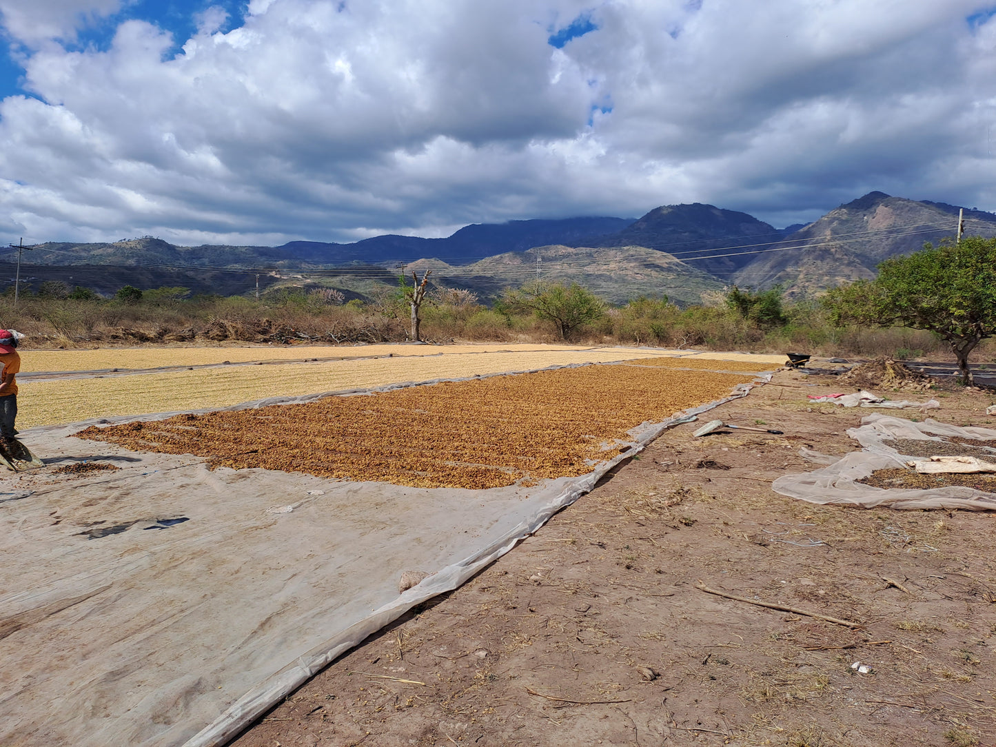 HONDURAS EL JARDIN