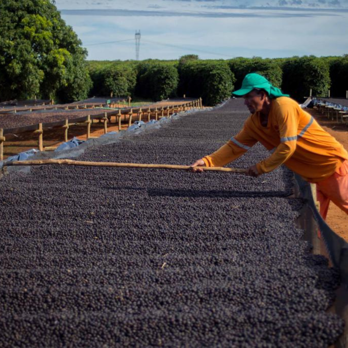 ENCUENTRO CON PRODUCTOR