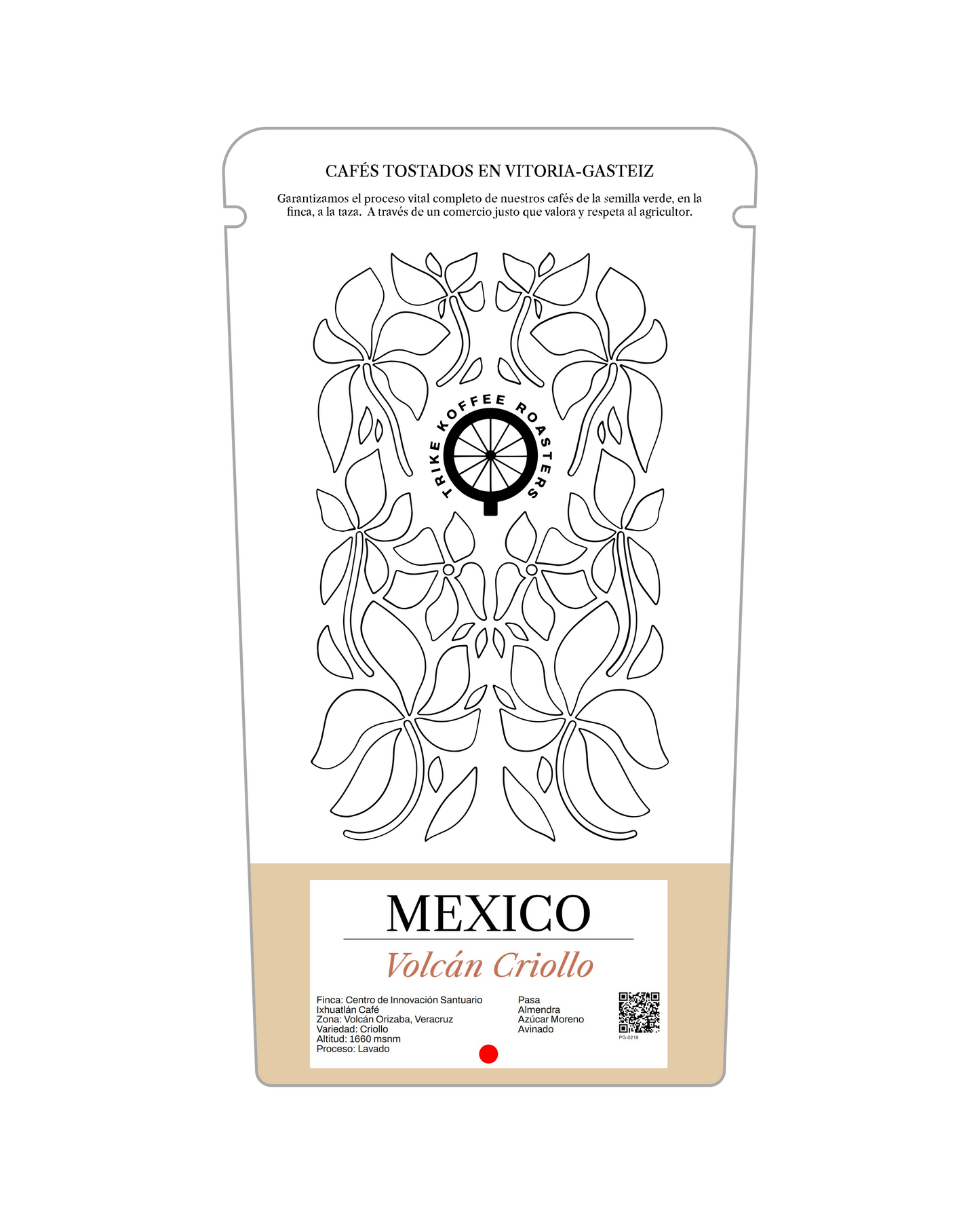 MEXICO VOLCÁN CRIOLLO