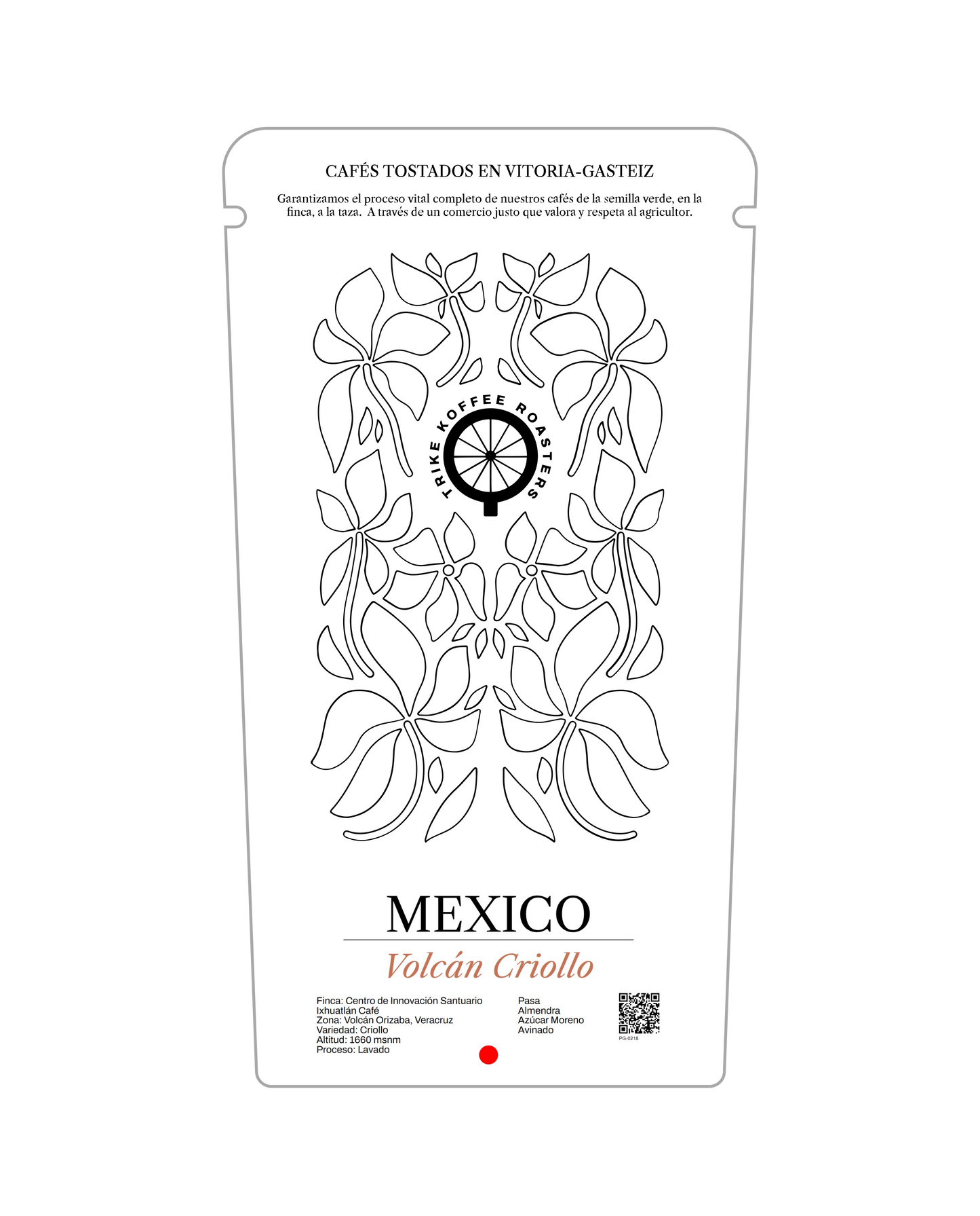 MEXICO VOLCÁN CRIOLLO