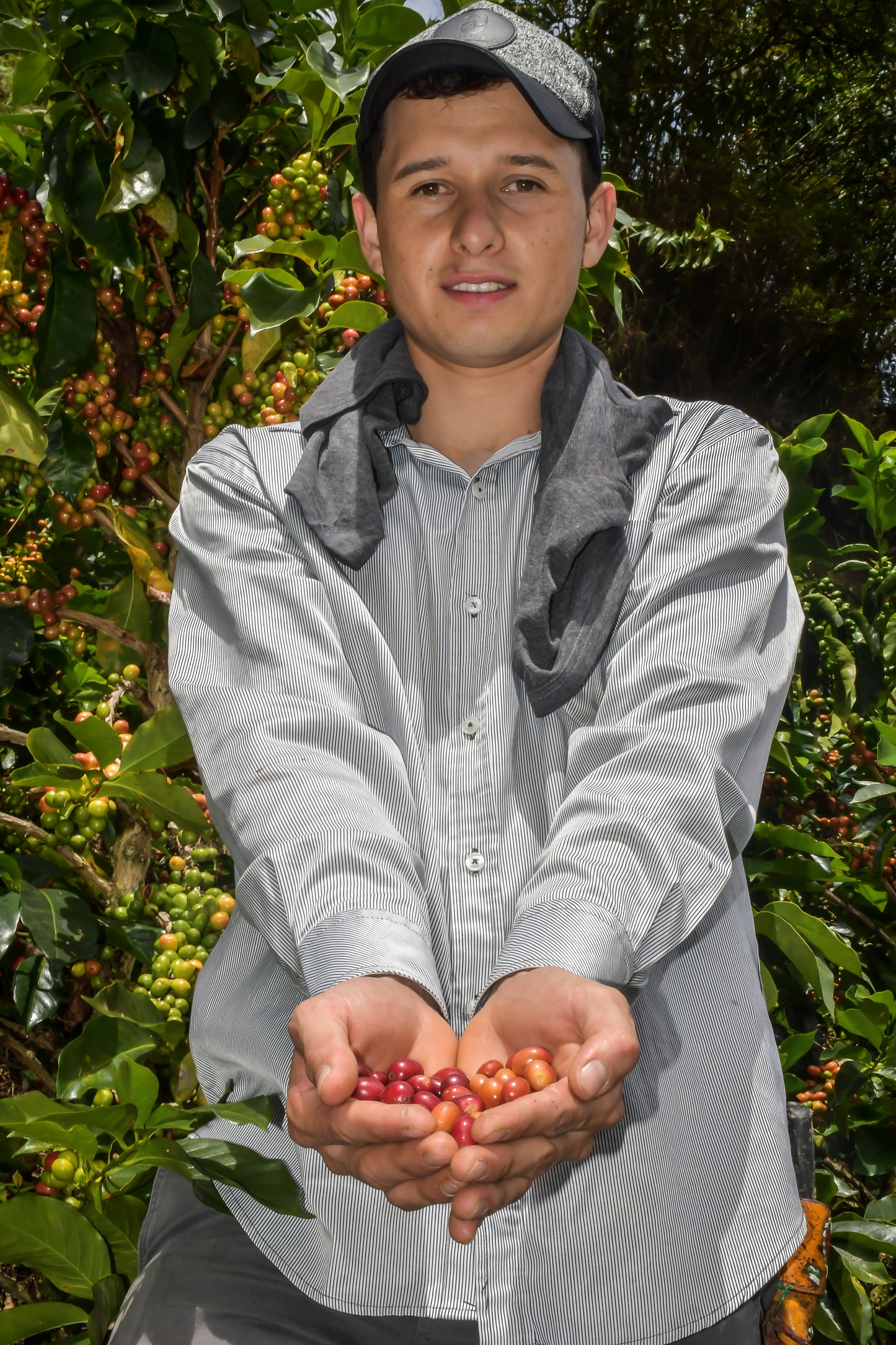 DIEGO HORTA