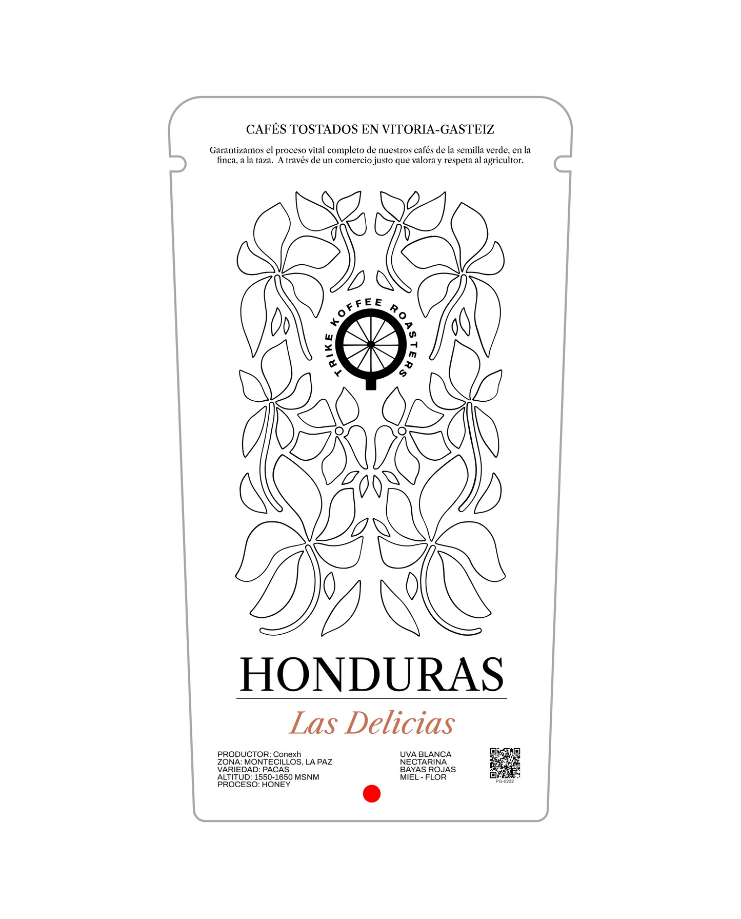 PACK EDICIÓN LIMITADA