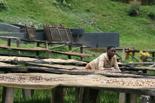 RWANDA GATSIBO