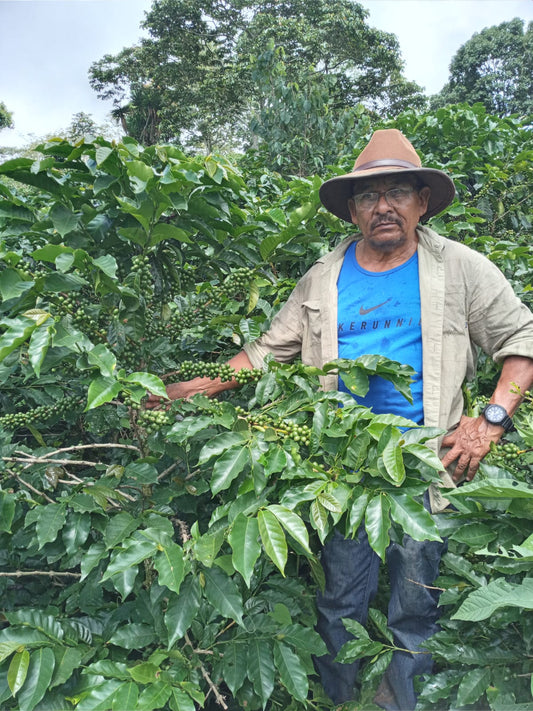 HONDURAS LAS DELICIAS