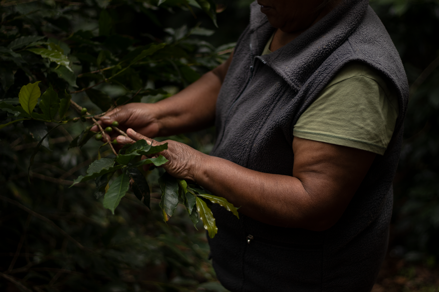 MEXICO LAS GUERRERAS