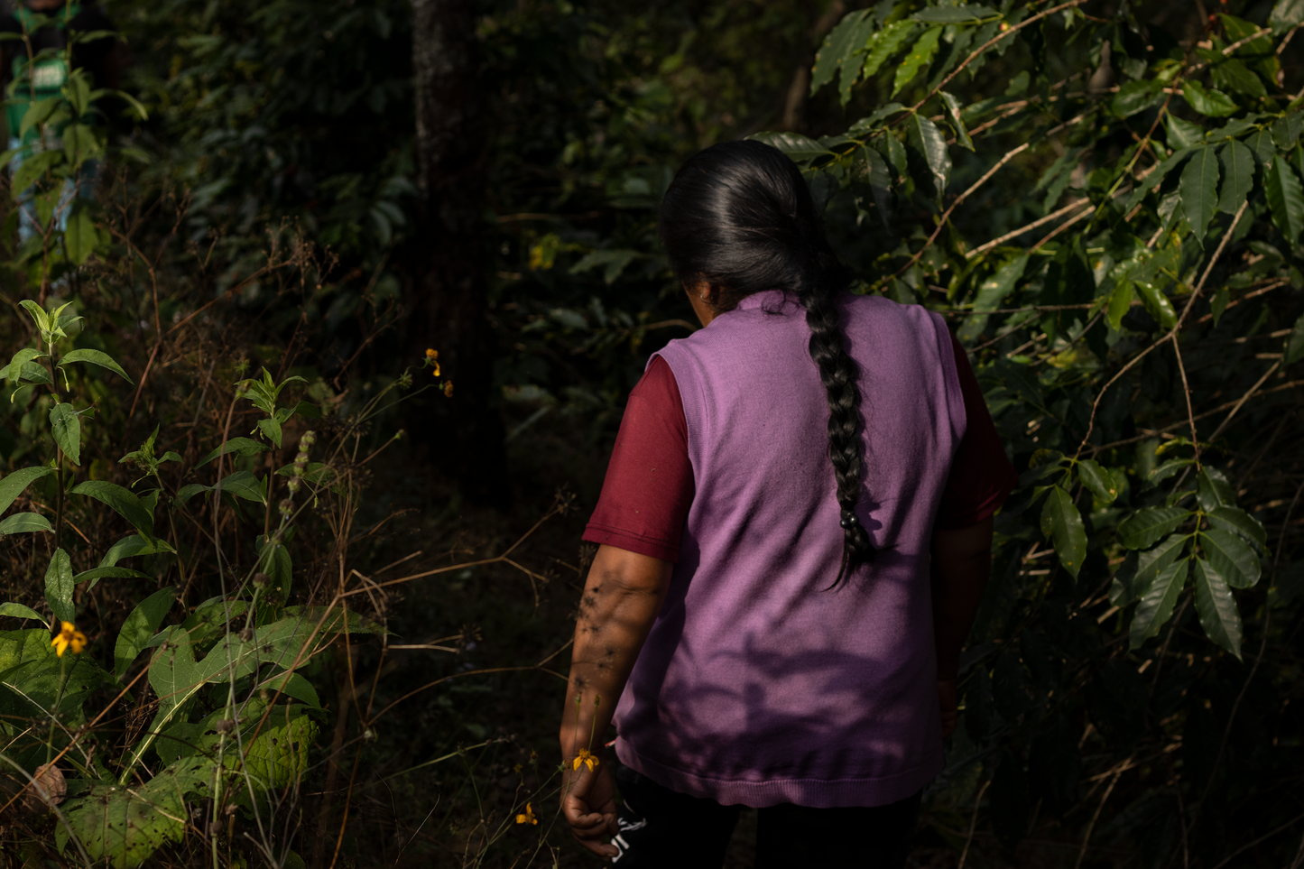 MEXICO LAS GUERRERAS