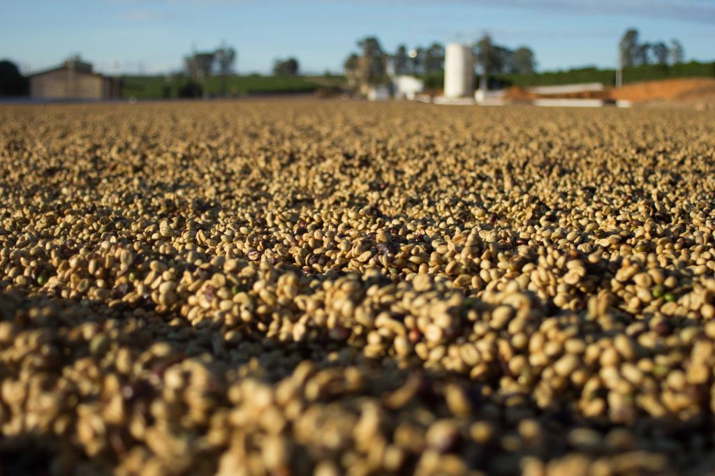 ENCUENTRO CON PRODUCTOR