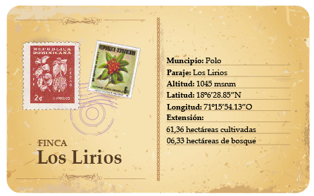 REPÚBLICA DOMINICANA LATA